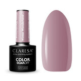 CLARESA Vernis semi permanent Winter Wonderland 2 - 5g