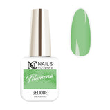 NC VSP Filomena Gelique 6 ml/My Name Is Collection